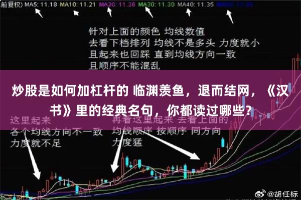 炒股是如何加杠杆的 临渊羡鱼，退而结网，《汉书》里的经典名句，你都读过哪些？