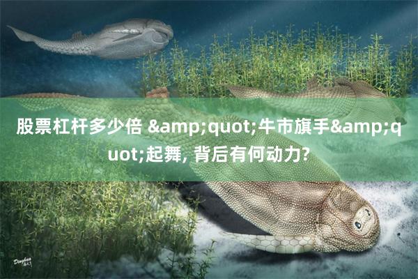 股票杠杆多少倍 &quot;牛市旗手&quot;起舞, 背后有何动力?