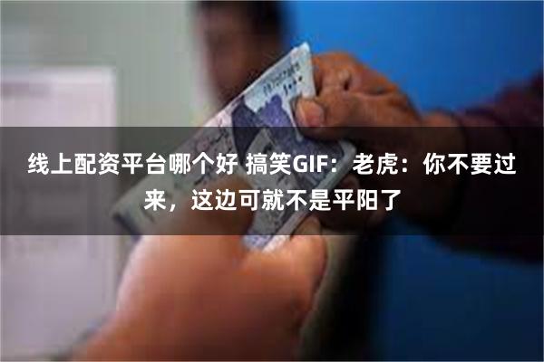 线上配资平台哪个好 搞笑GIF：老虎：你不要过来，这边可就不是平阳了