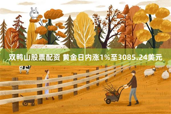 双鸭山股票配资 黄金日内涨1%至3085.24美元
