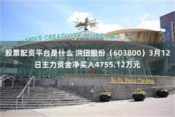 股票配资平台是什么 洪田股份（603800）3月12日主力资金净买入4755.12万元