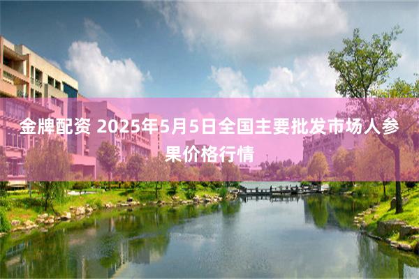 金牌配资 2025年5月5日全国主要批发市场人参果价格行情