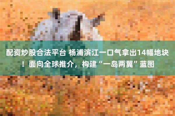 配资炒股合法平台 杨浦滨江一口气拿出14幅地块！面向全球推介，构建“一岛两翼”蓝图