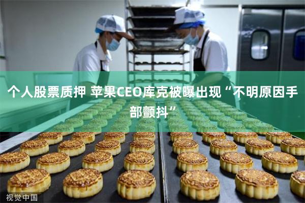 个人股票质押 苹果CEO库克被曝出现“不明原因手部颤抖”