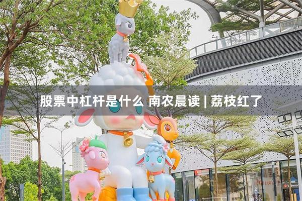 股票中杠杆是什么 南农晨读 | 荔枝红了