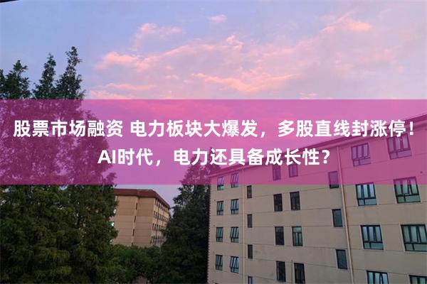 股票市场融资 电力板块大爆发，多股直线封涨停！AI时代，电力还具备成长性？