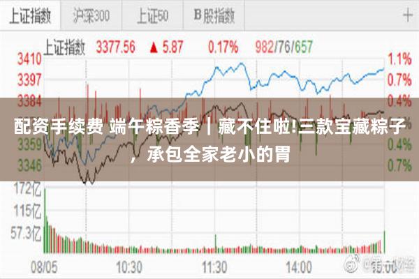 配资手续费 端午粽香季｜藏不住啦!三款宝藏粽子，承包全家老小的胃