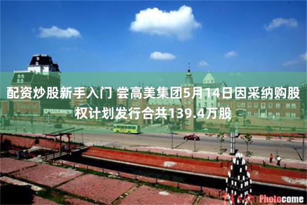 配资炒股新手入门 尝高美集团5月14日因采纳购股权计划发行合共139.4万股