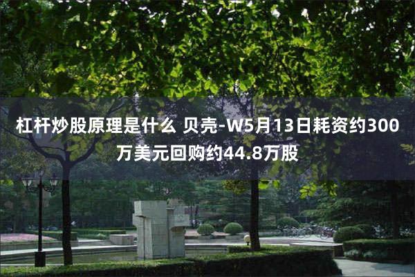 杠杆炒股原理是什么 贝壳-W5月13日耗资约300万美元回购约44.8万股