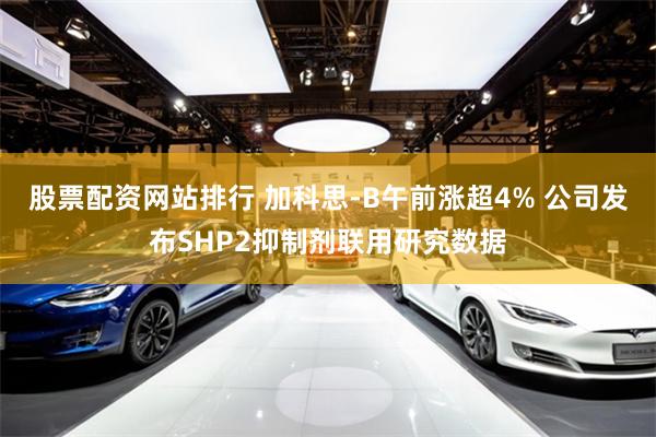 股票配资网站排行 加科思-B午前涨超4% 公司发布SHP2抑制剂联用研究数据