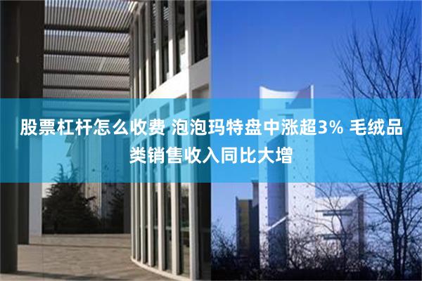 股票杠杆怎么收费 泡泡玛特盘中涨超3% 毛绒品类销售收入同比大增