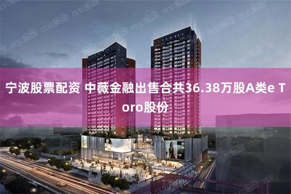 宁波股票配资 中薇金融出售合共36.38万股A类e Toro股份