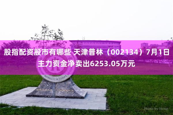 股指配资股市有哪些 天津普林（002134）7月1日主力资金净卖出6253.05万元