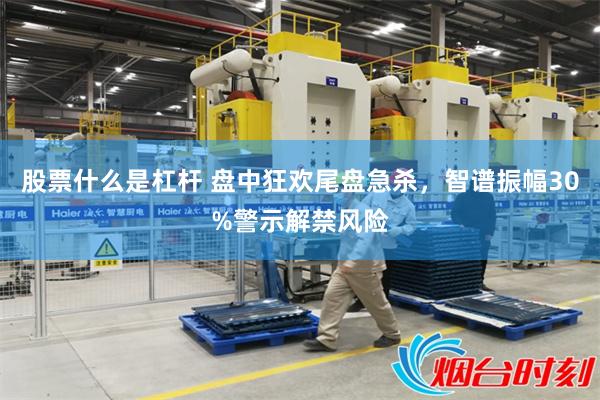股票什么是杠杆 盘中狂欢尾盘急杀，智谱振幅30%警示解禁风险