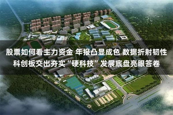 股票如何看主力资金 年报凸显成色 数据折射韧性科创板交出夯实“硬科技”发展底盘亮眼答卷