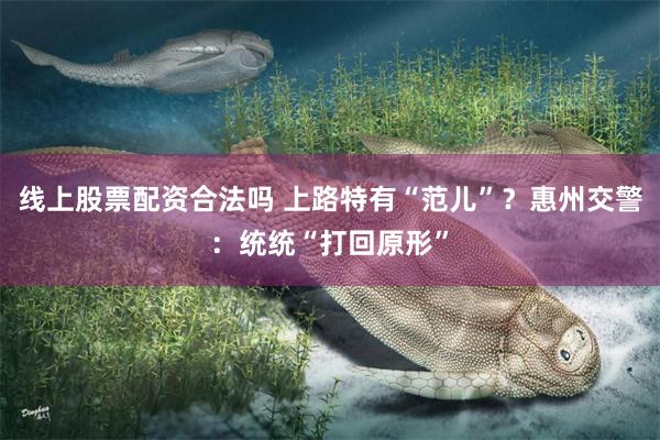 线上股票配资合法吗 上路特有“范儿”？惠州交警：统统“打回原形”