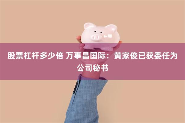 股票杠杆多少倍 万事昌国际:黄家俊已获委任为公司秘书