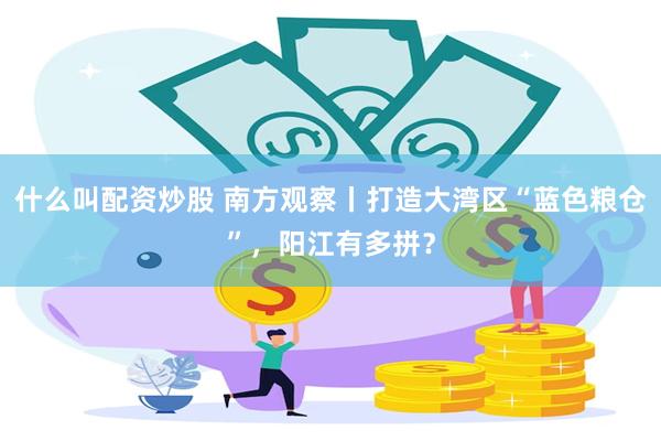 什么叫配资炒股 南方观察丨打造大湾区“蓝色粮仓”，阳江有多拼？