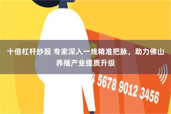 十倍杠杆炒股 专家深入一线精准把脉,助力佛山养殖产业提质升级