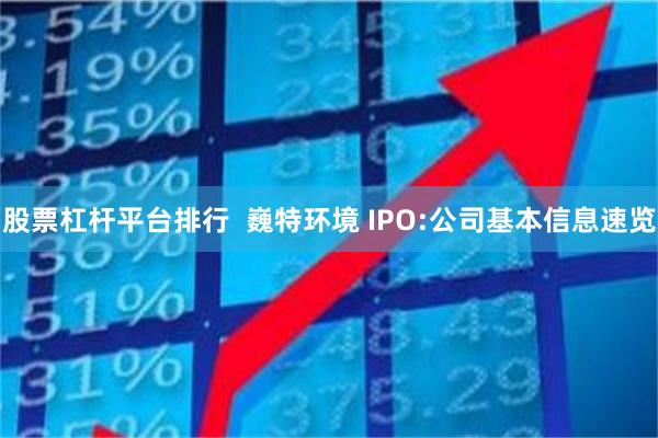 股票杠杆平台排行  巍特环境 IPO:公司基本信息速览