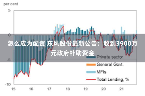 怎么成为配资 东风股份最新公告：收到3900万元政府补助资金
