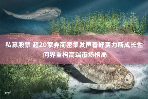 私募股票 超20家券商密集发声看好赛力斯成长性 问界重构高端市场格局