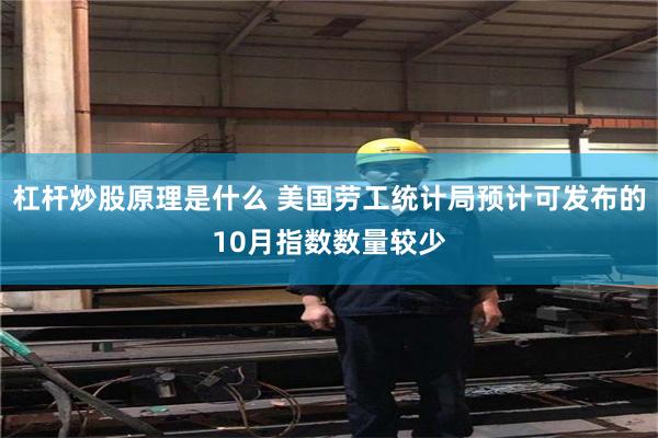 杠杆炒股原理是什么 美国劳工统计局预计可发布的10月指数数量较少