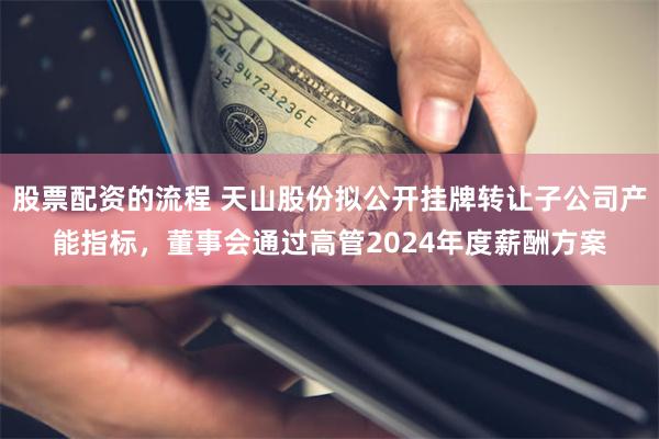 股票配资的流程 天山股份拟公开挂牌转让子公司产能指标，董事会通过高管2024年度薪酬方案