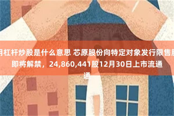 用杠杆炒股是什么意思 芯原股份向特定对象发行限售股即将解禁，24,860,441股12月30日上市流通
