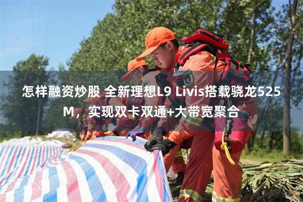 怎样融资炒股 全新理想L9 Livis搭载骁龙525M，实现双卡双通+大带宽聚合