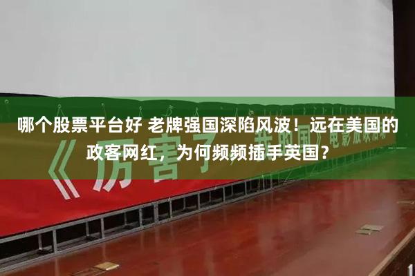 哪个股票平台好 老牌强国深陷风波！远在美国的政客网红，为何频频插手英国？