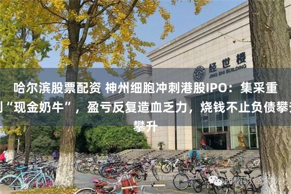 哈尔滨股票配资 神州细胞冲刺港股IPO:集采重创“现金奶牛”,盈亏反复造血乏力,烧钱不止负债攀升