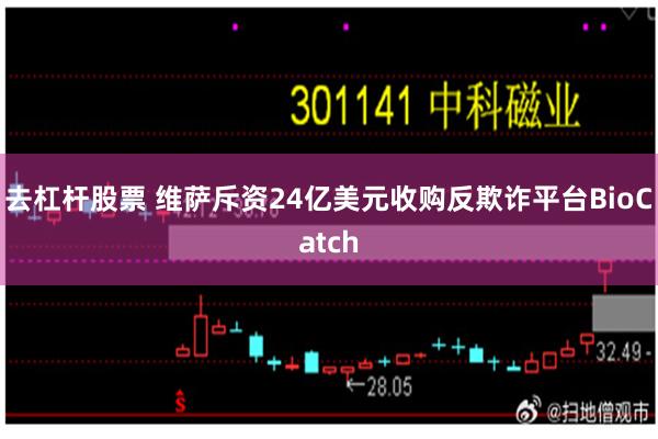 去杠杆股票 维萨斥资24亿美元收购反欺诈平台BioCatch