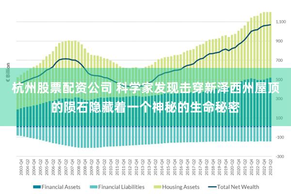杭州股票配资公司 科学家发现击穿新泽西州屋顶的陨石隐藏着一个神秘的生命秘密