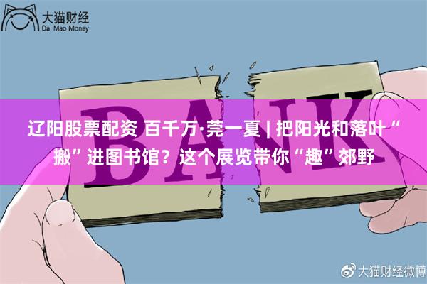 辽阳股票配资 百千万·莞一夏 | 把阳光和落叶“搬”进图书馆？这个展览带你“趣”郊野