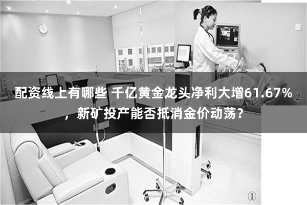 配资线上有哪些 千亿黄金龙头净利大增61.67%，新矿投产能否抵消金价动荡？