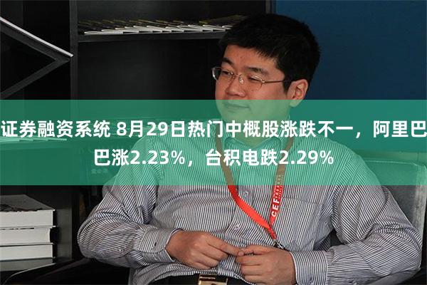 证券融资系统 8月29日热门中概股涨跌不一,阿里巴巴涨2.23%,台积电跌2.29%