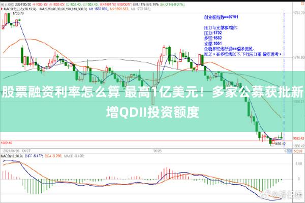 股票融资利率怎么算 最高1亿美元！多家公募获批新增QDII投资额度