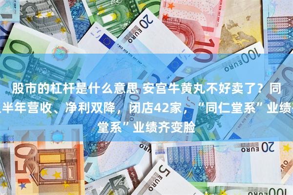 股市的杠杆是什么意思 安宫牛黄丸不好卖了？同仁堂上半年营收、净利双降，闭店42家，“同仁堂系”业绩齐变脸