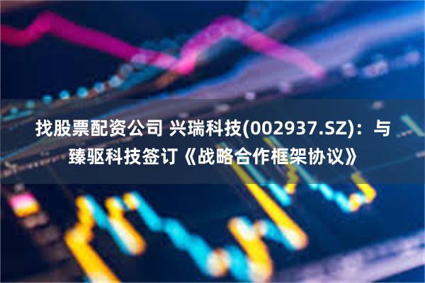 找股票配资公司 兴瑞科技(002937.SZ)：与臻驱科技签订《战略合作框架协议》