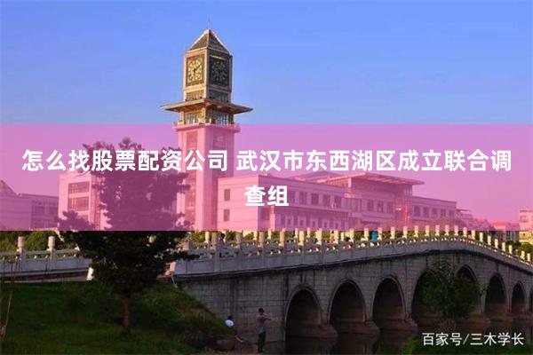 怎么找股票配资公司 武汉市东西湖区成立联合调查组