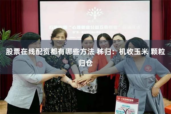 股票在线配资都有哪些方法 秭归:机收玉米 颗粒归仓