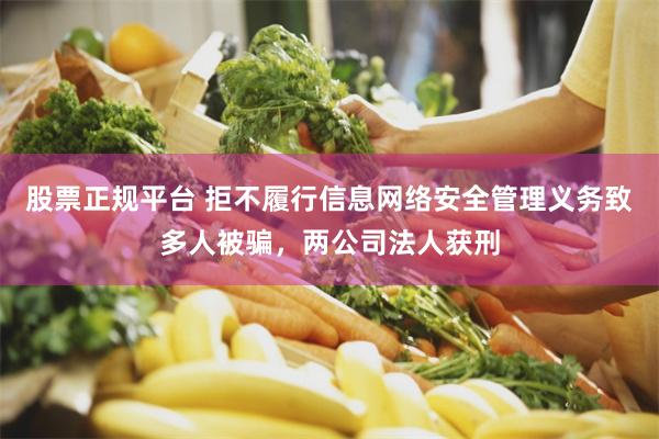 股票正规平台 拒不履行信息网络安全管理义务致多人被骗，两公司法人获刑