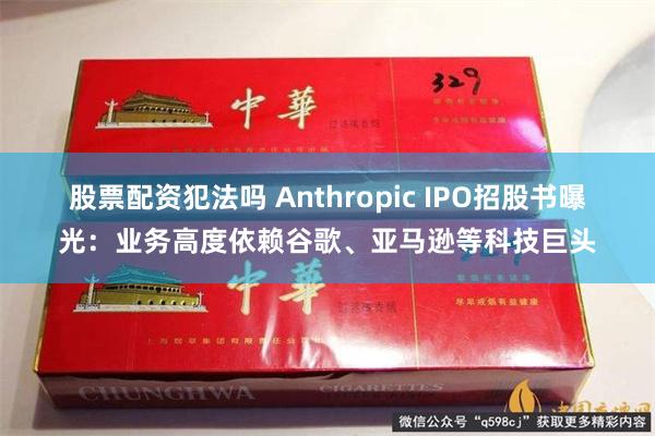 股票配资犯法吗 Anthropic IPO招股书曝光：业务高度依赖谷歌、亚马逊等科技巨头