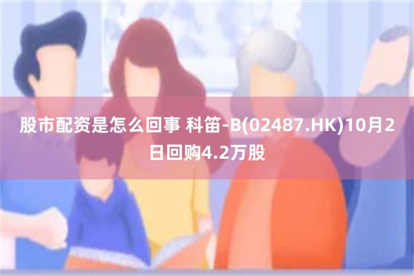 股市配资是怎么回事 科笛-B(02487.HK)10月2日回购4.2万股