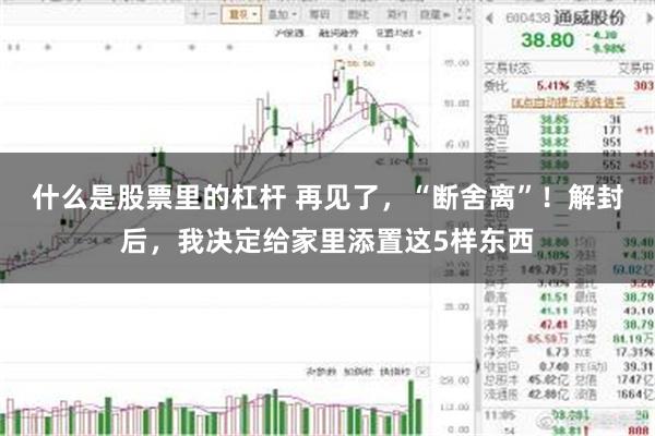 什么是股票里的杠杆 再见了，“断舍离”！解封后，我决定给家里添置这5样东西